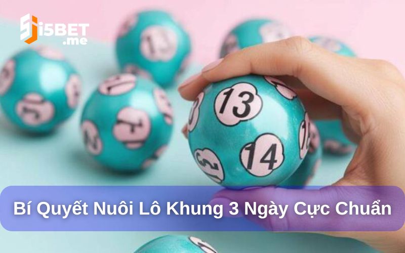Nuôi lô khung 3 ngày chuẩn - Bí quyết thắng cho người mới Bí quyết nuôi lô khung 3 ngày chuẩn