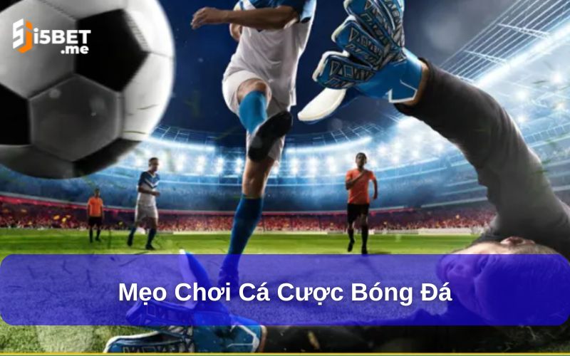 Mẹo chơi cá cược bóng đá