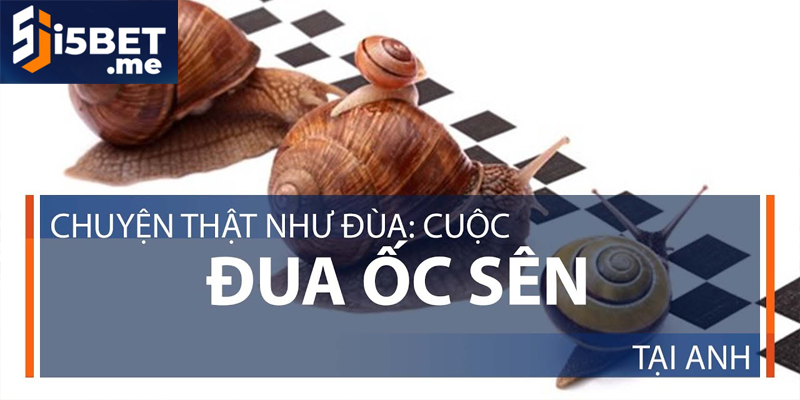 Giải đua ốc sên kỳ lại tại Anh Quốc
