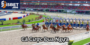 Luật Chơi Đua Ngựa Cách Đặt Cược Và Chiến Thuật Hiệu Quả