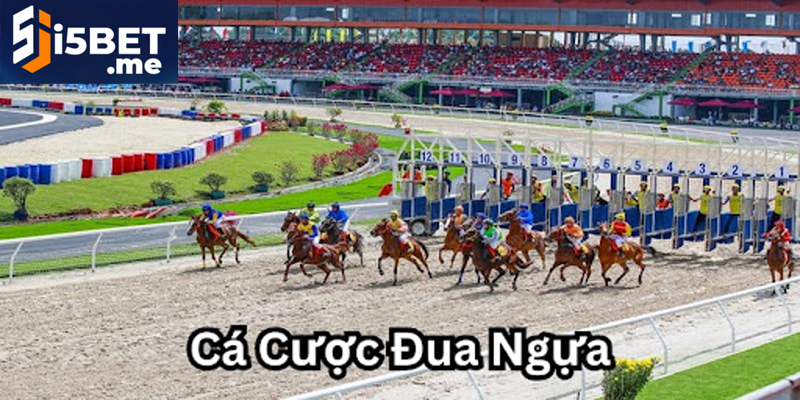 Luật Chơi Đua Ngựa Cách Đặt Cược Và Chiến Thuật Hiệu Quả