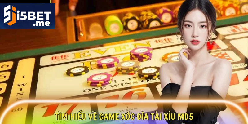 Xóc Đĩa MD5 – Lưu Ý Quan Trọng Khi Tham Gia Cá Cược Chiến thuật đặt cược thông minh giúp tăng cơ hội thắng